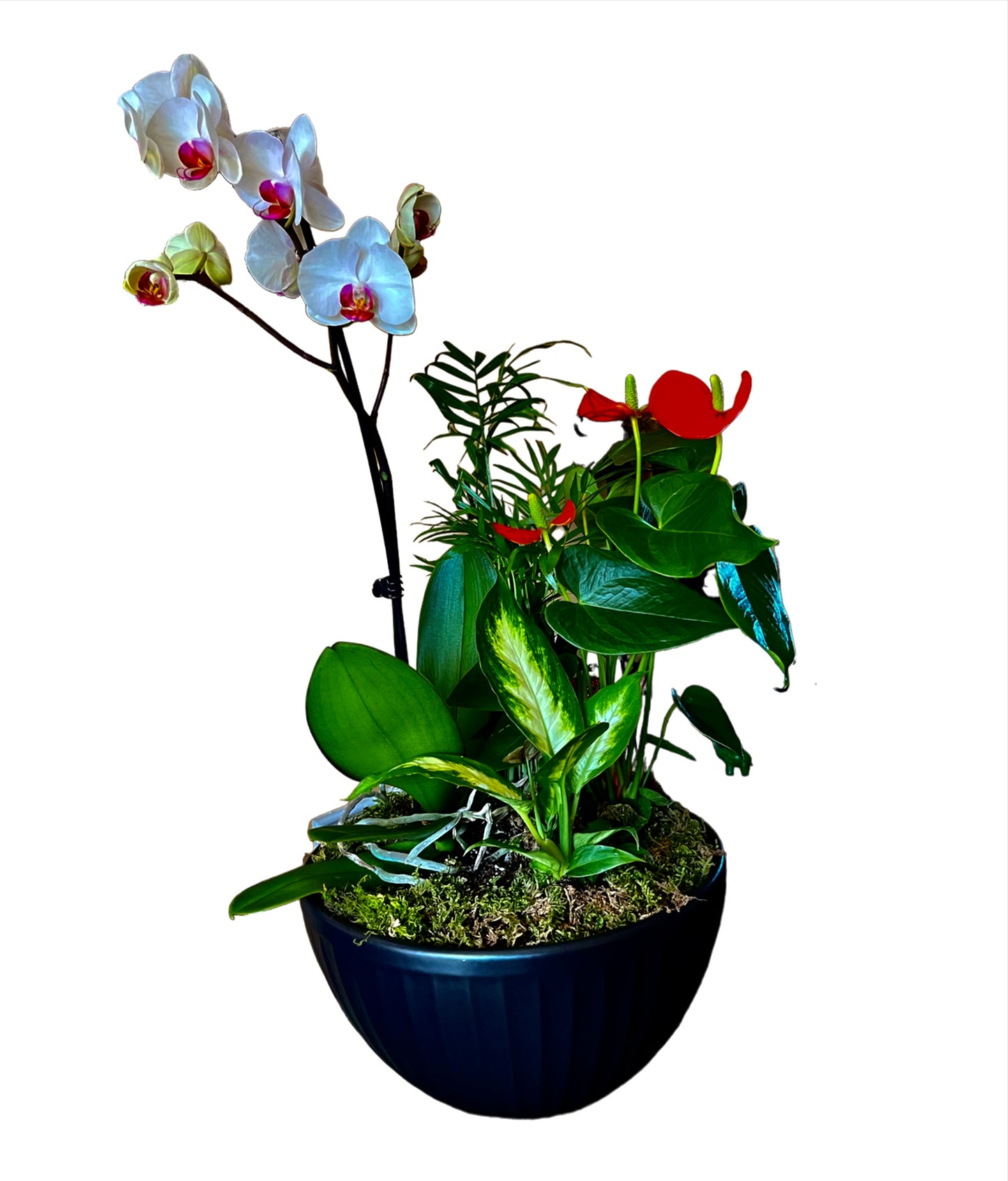 Orchid House Planter