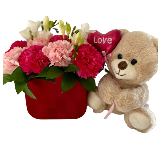 Teddy Love Carnation